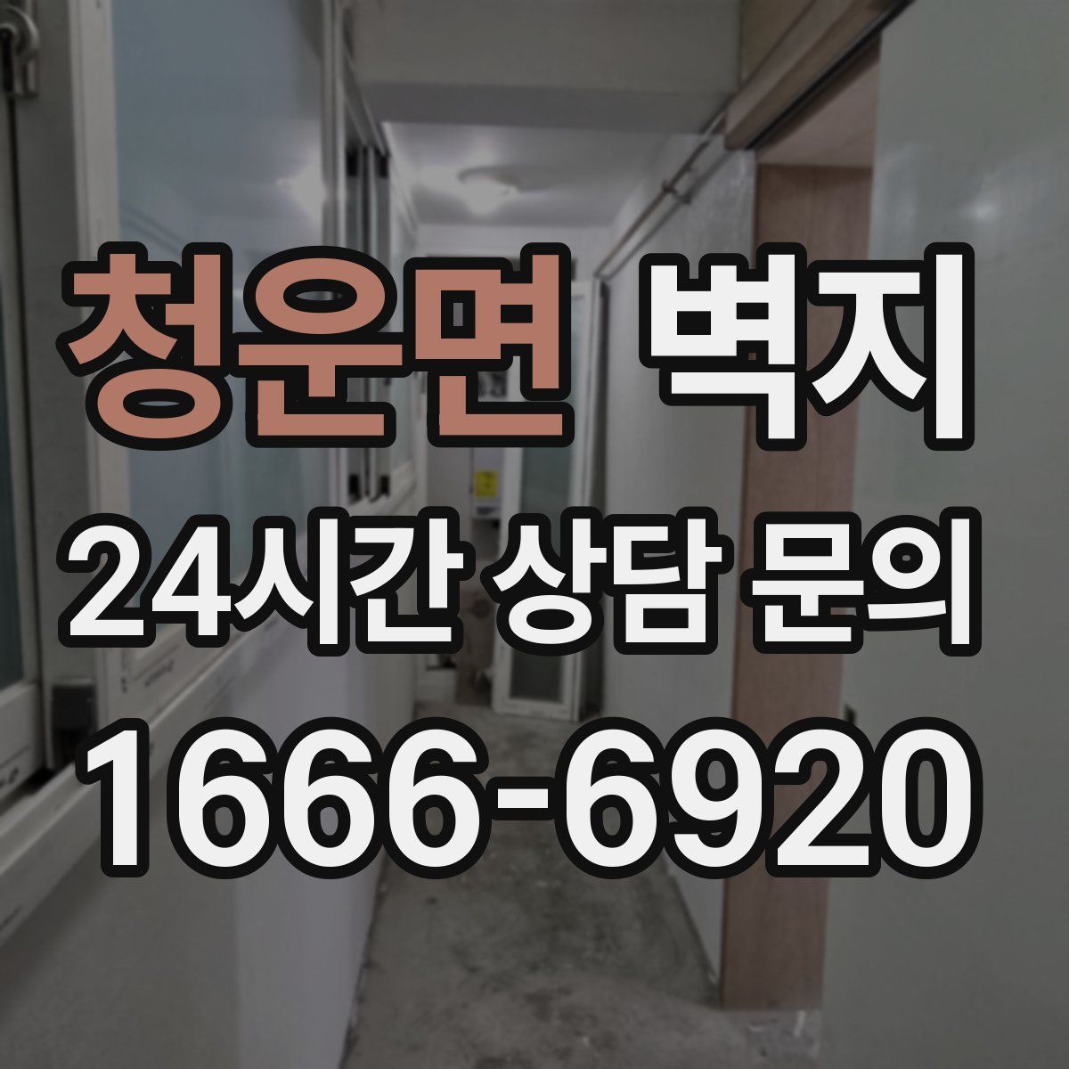 청운면 벽지