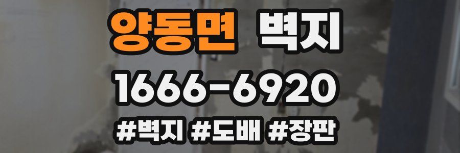 양동면 벽지