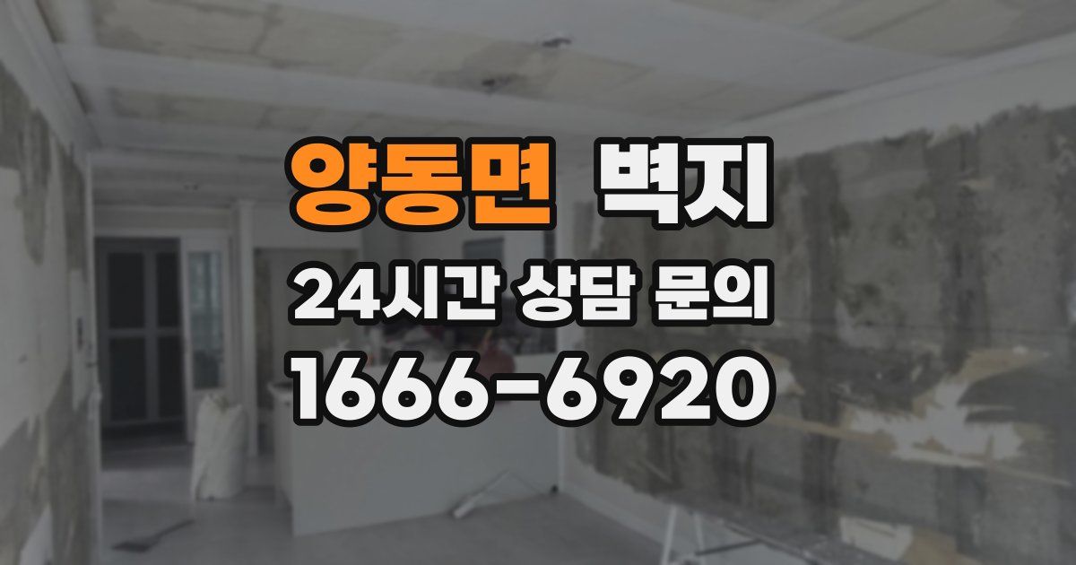양동면 벽지
