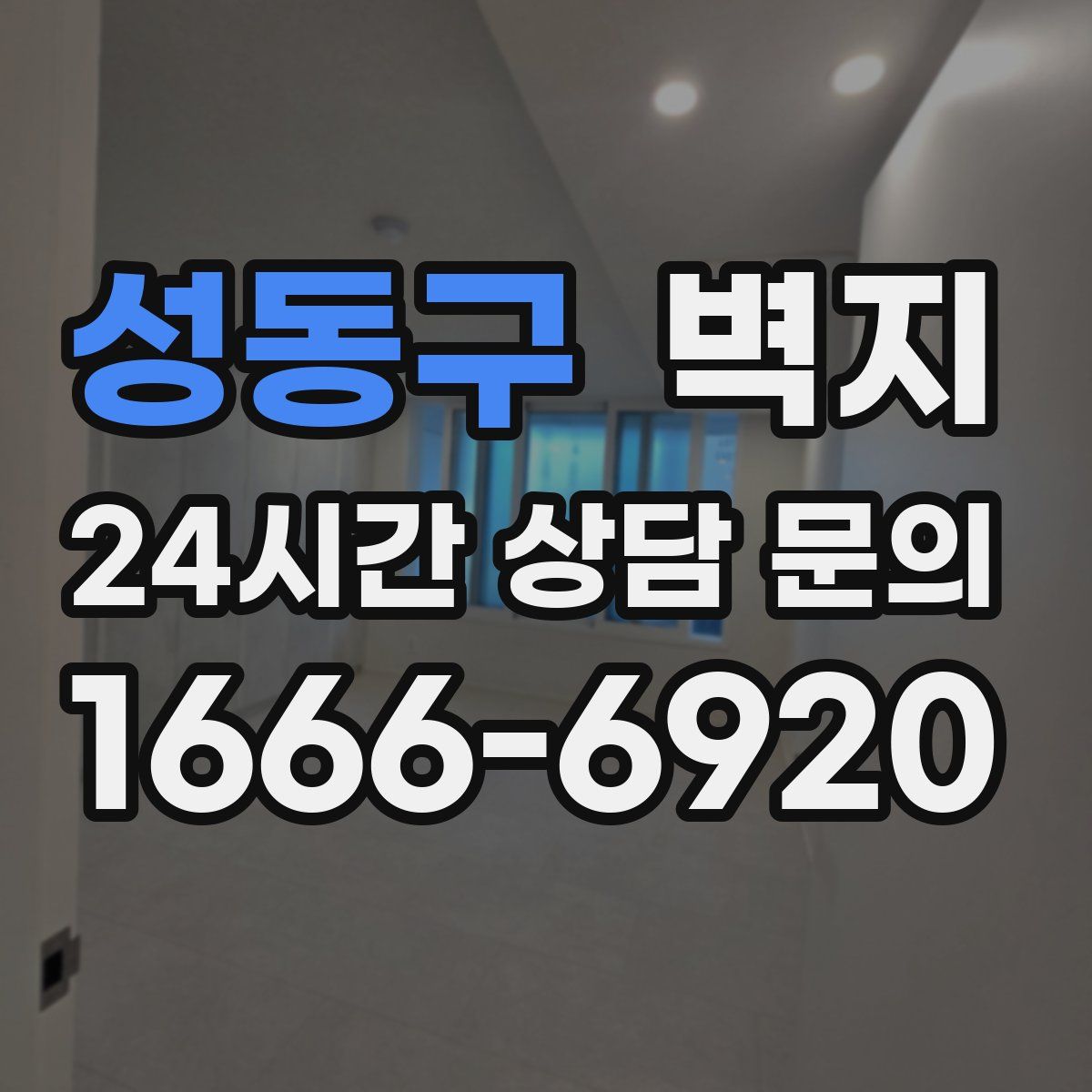 성동구 벽지