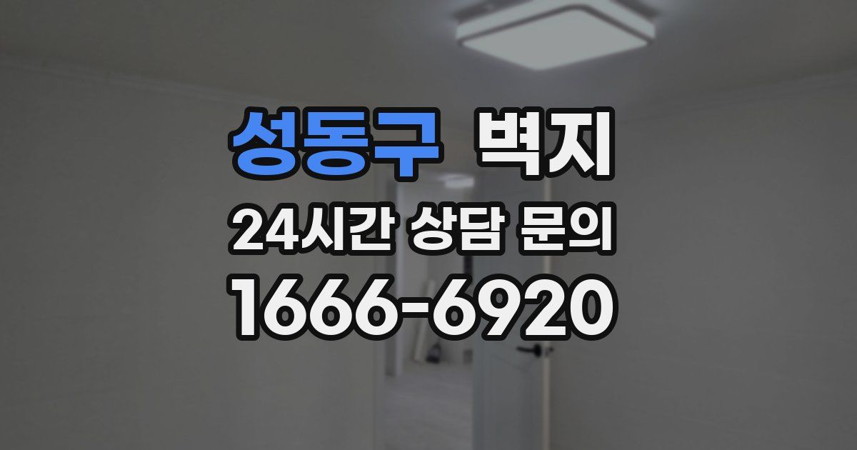 성동구 벽지