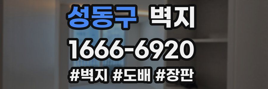 성동구 벽지