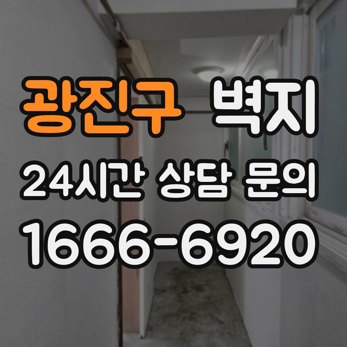 광진구 벽지