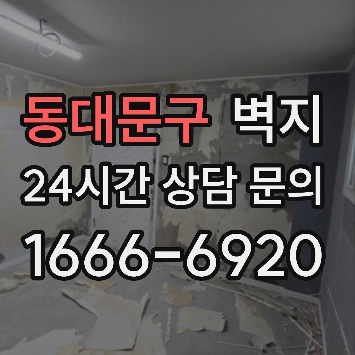 동대문구 벽지