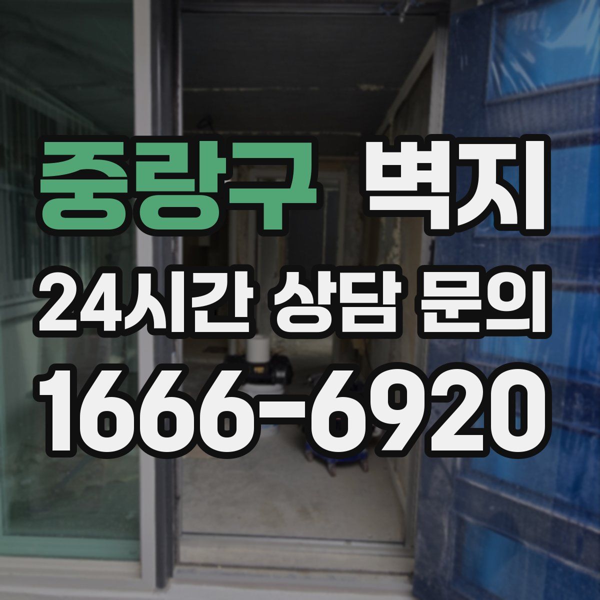 중랑구 벽지
