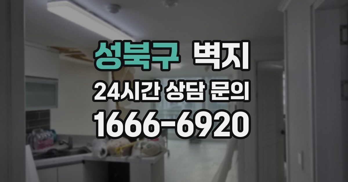 성북구 벽지