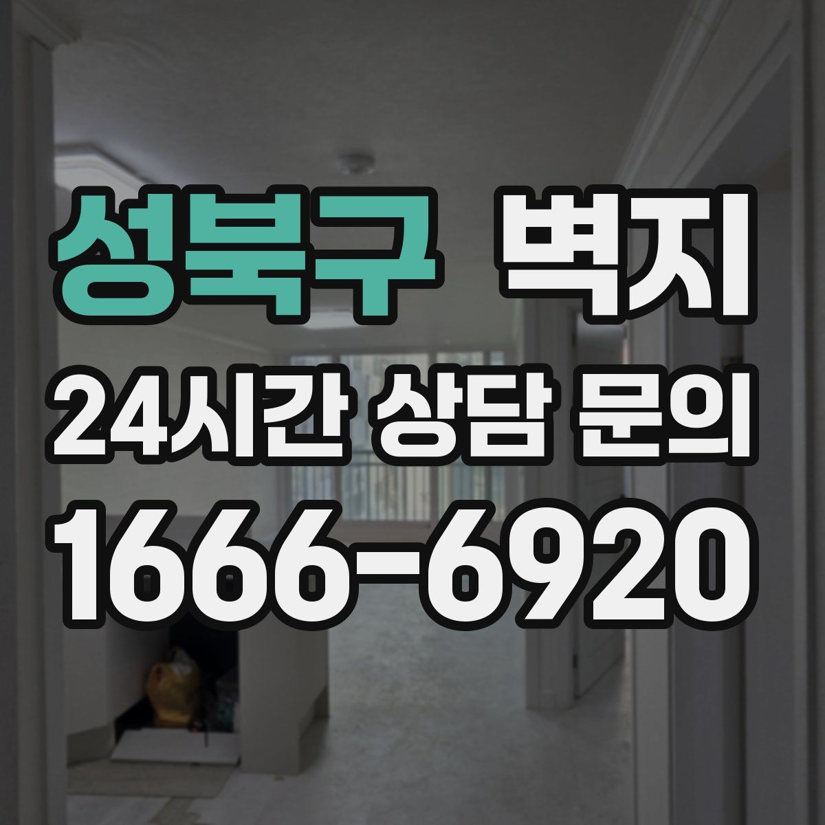 성북구 벽지