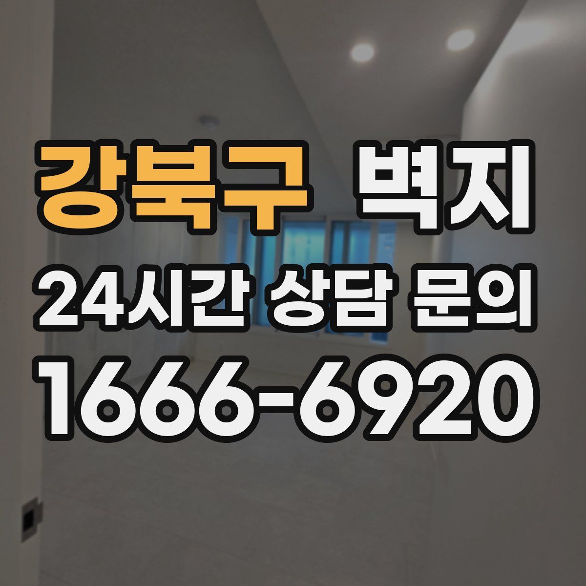강북구 벽지