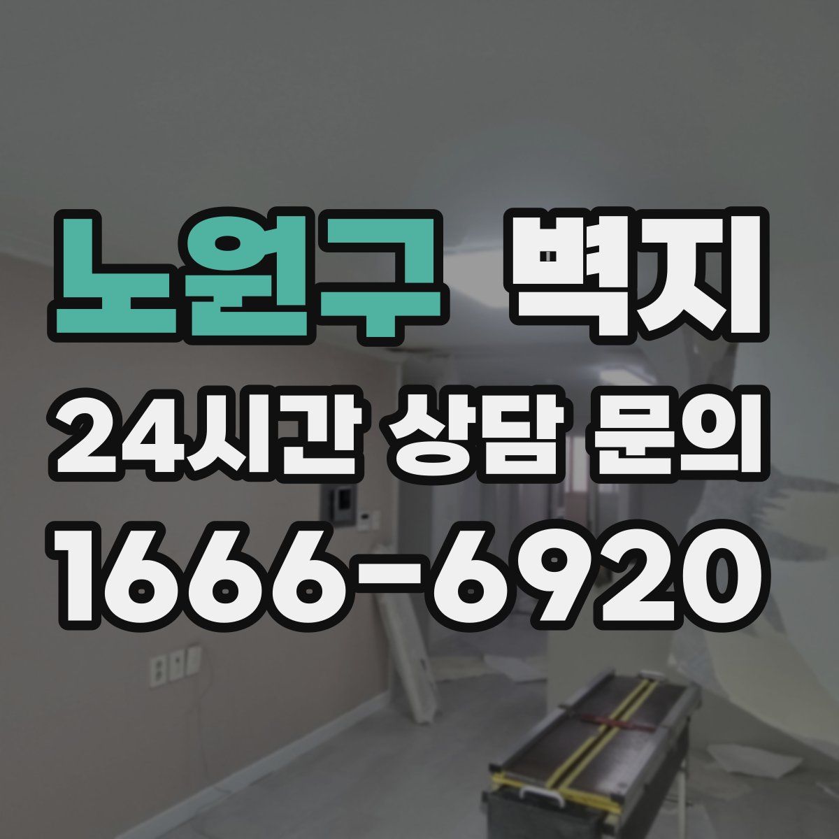 노원구 벽지