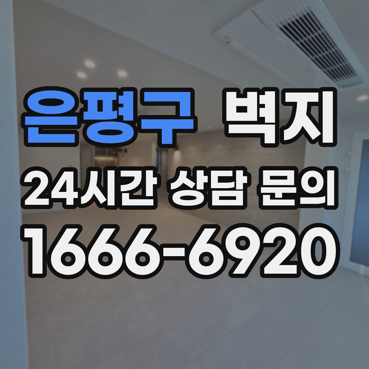 은평구 벽지
