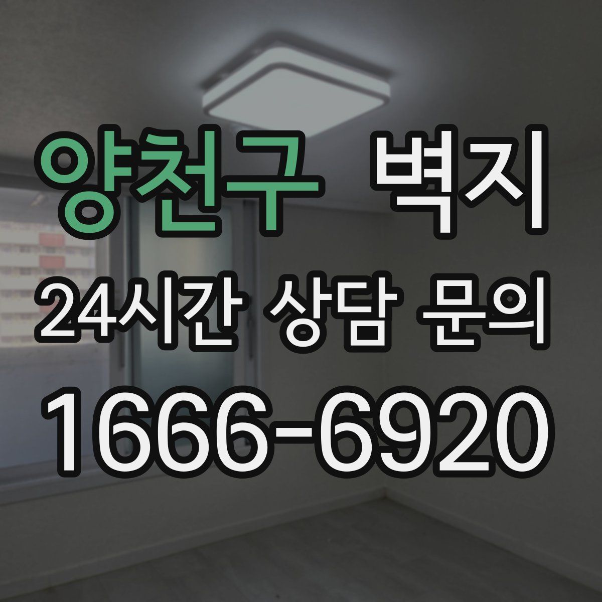 양천구 벽지