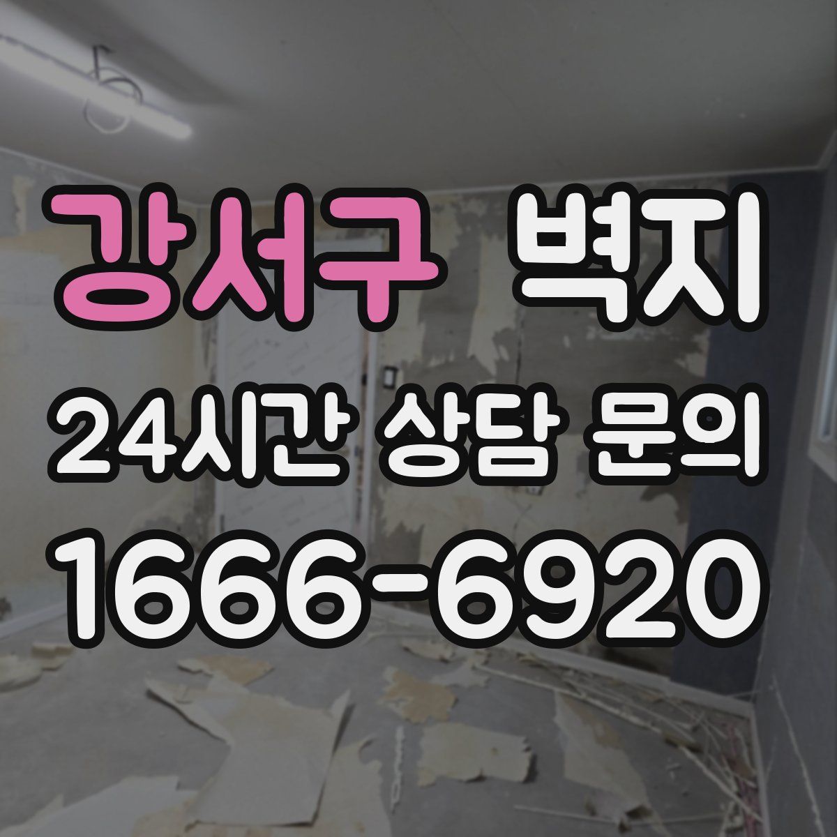 강서구 벽지