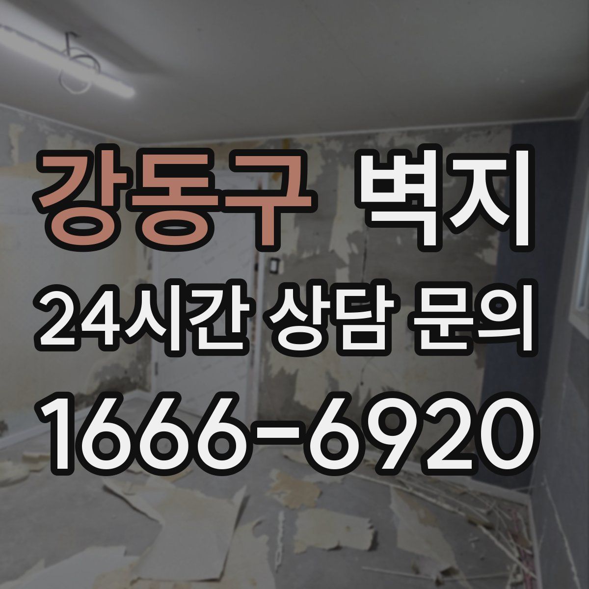 강동구 벽지
