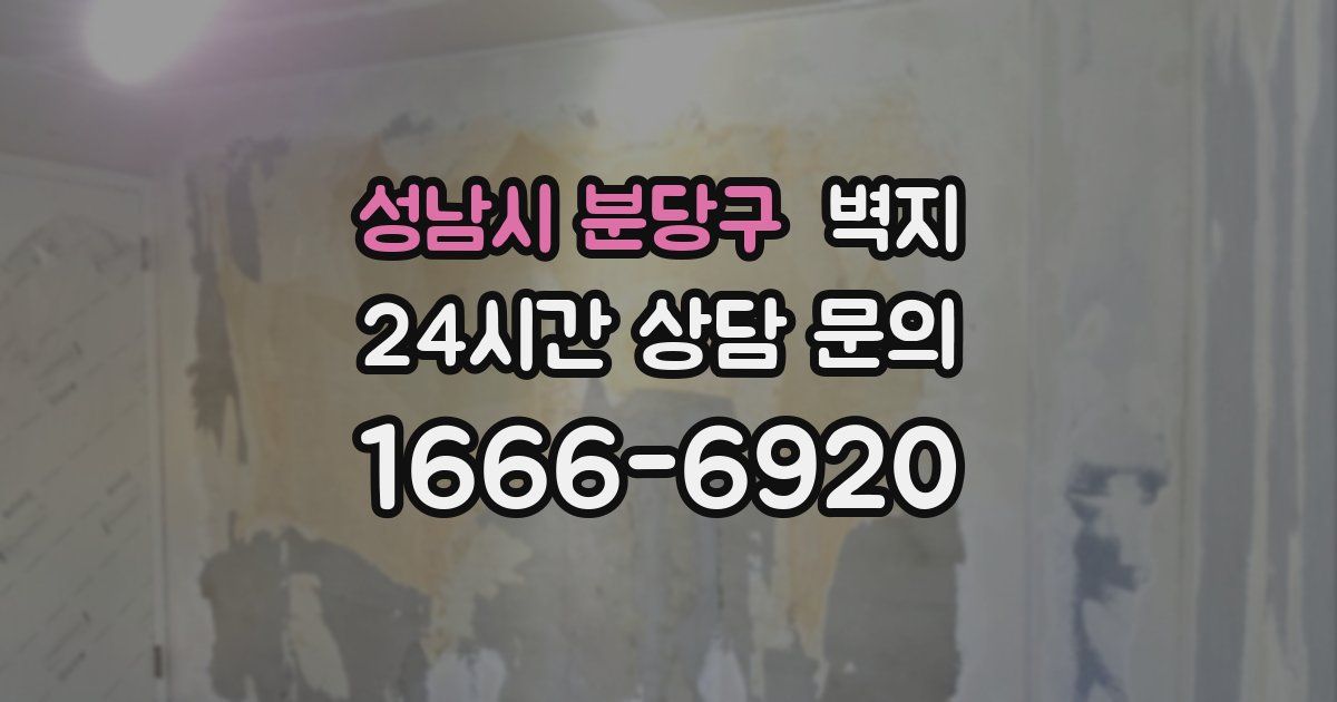 성남시 분당구 벽지