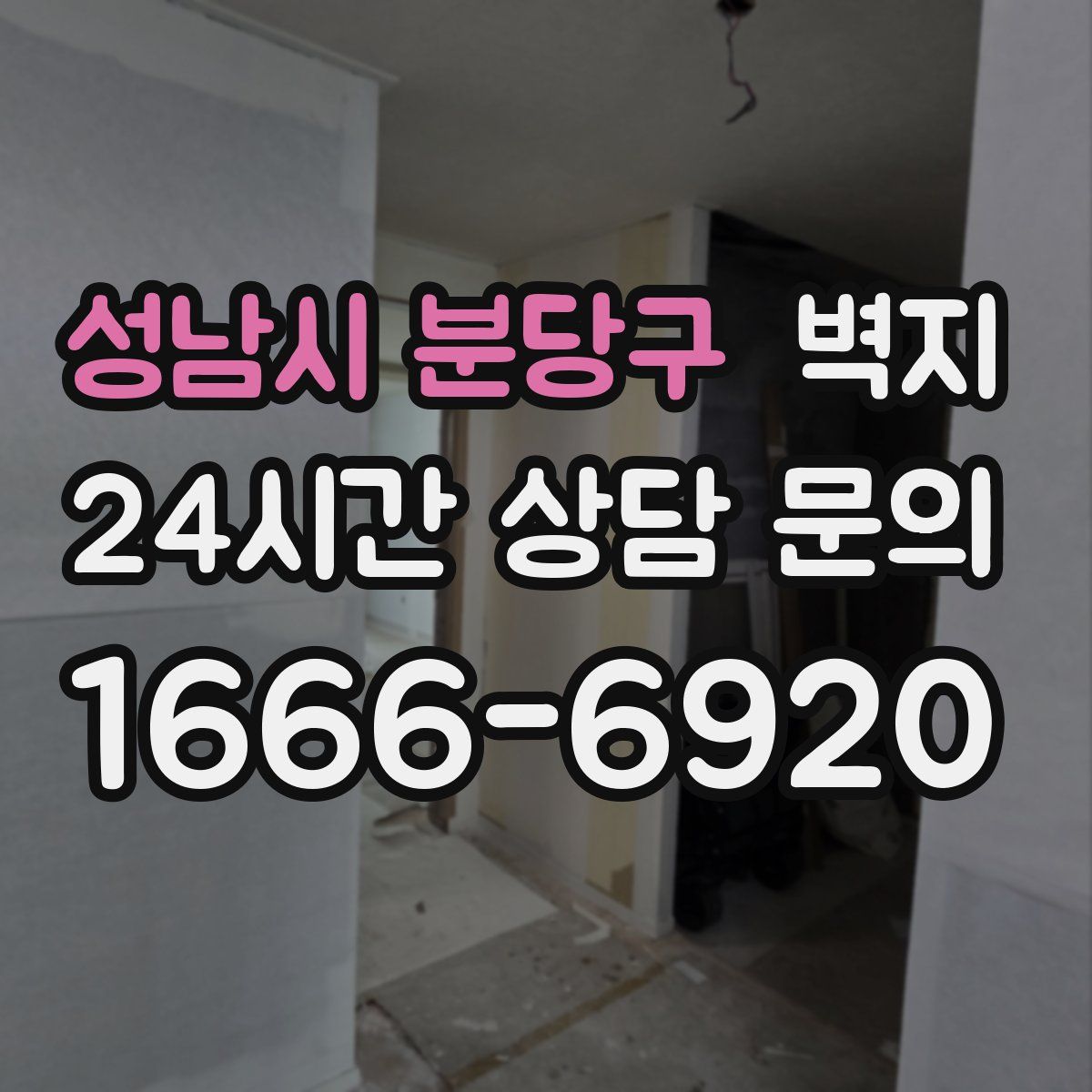 성남시 분당구 벽지