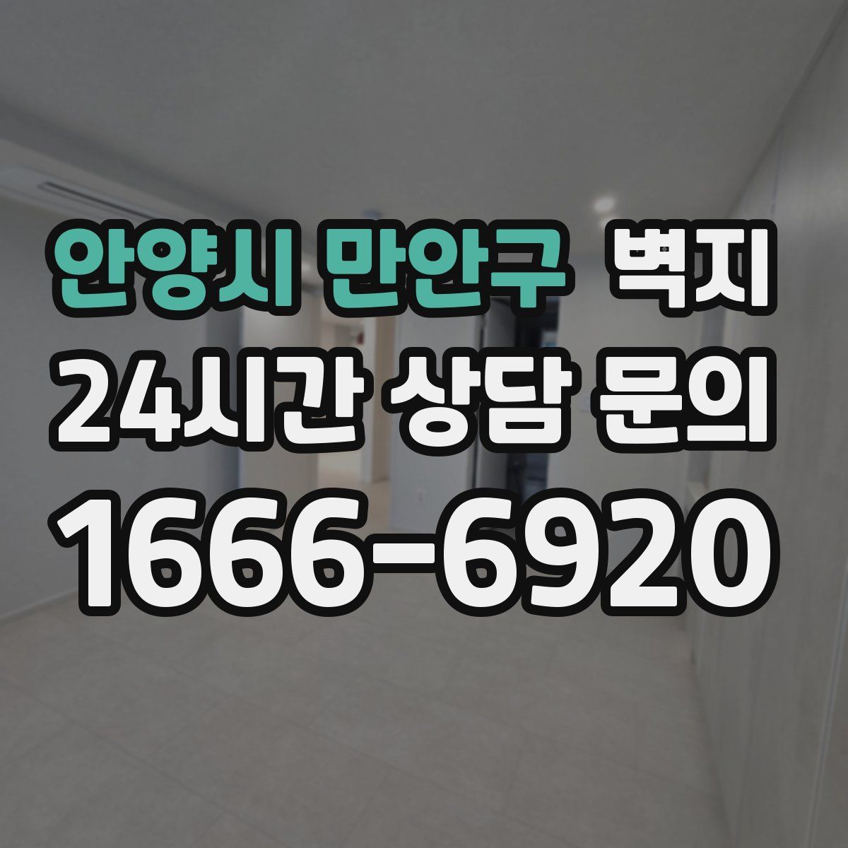 안양시 만안구 벽지