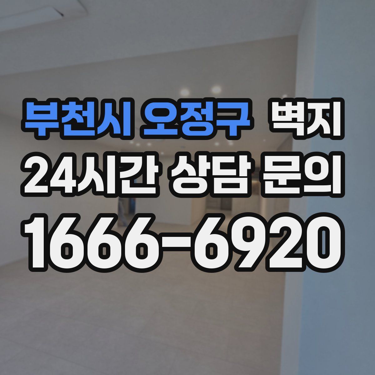 부천시 오정구 벽지