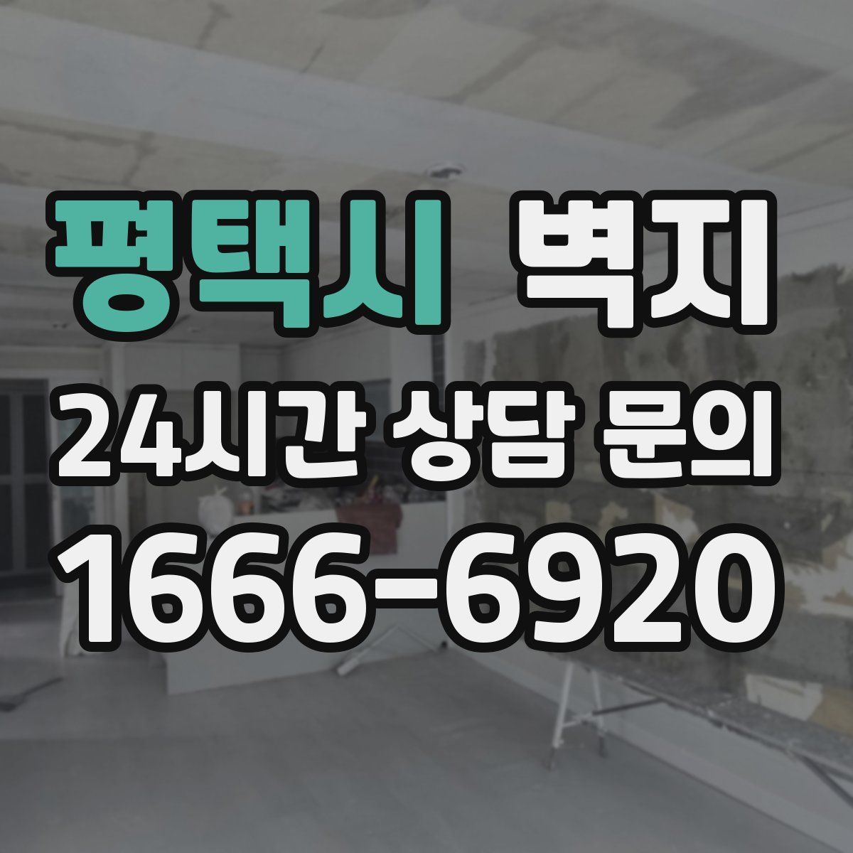 평택시 벽지