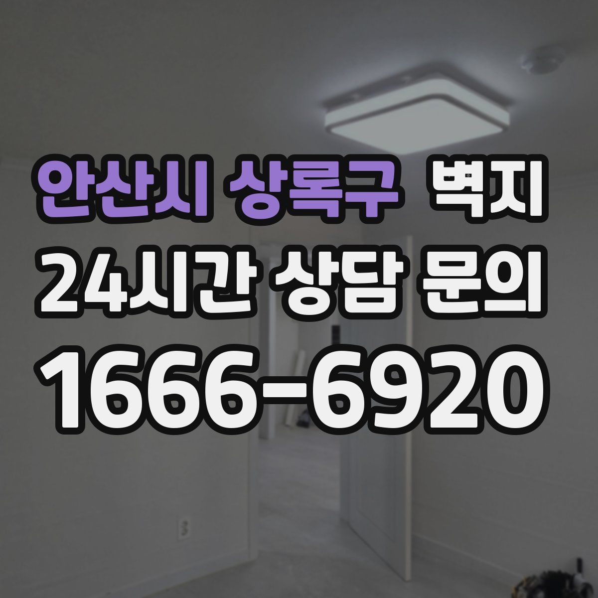 안산시 상록구 벽지