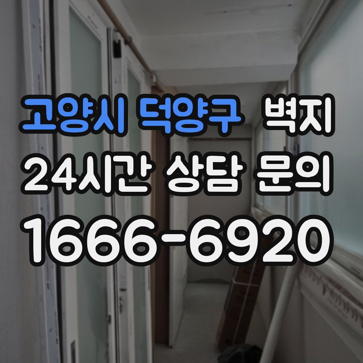 고양시 덕양구 벽지