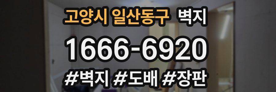 고양시 일산동구 벽지