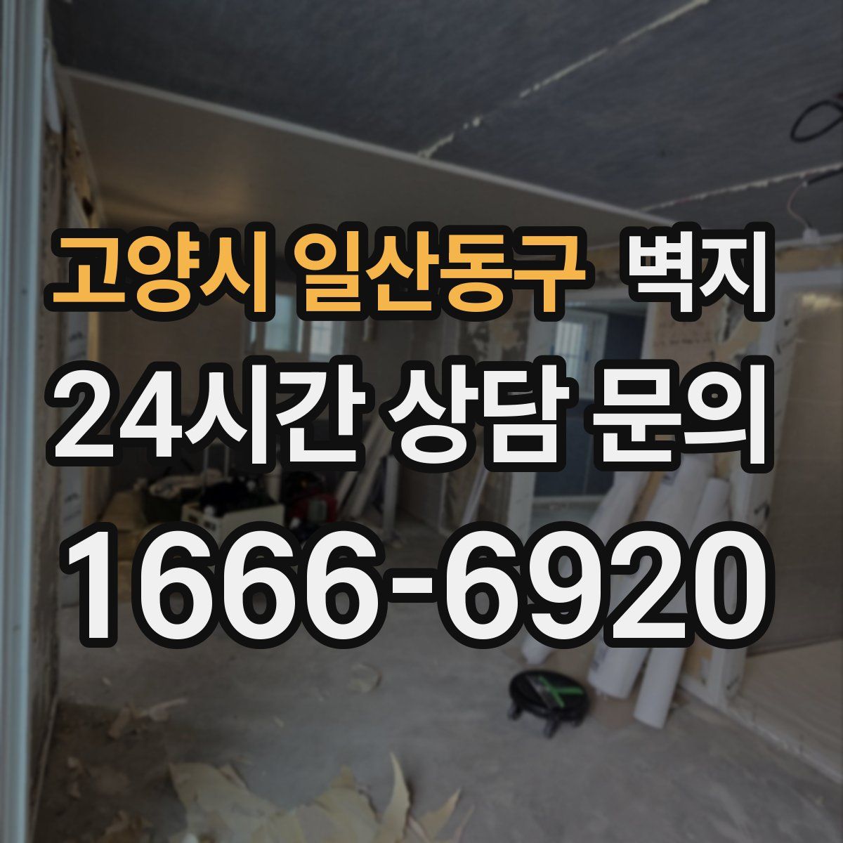 고양시 일산동구 벽지