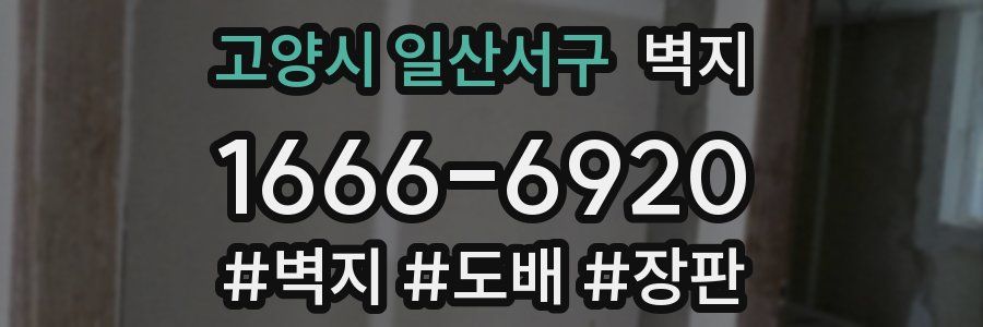 고양시 일산서구 벽지