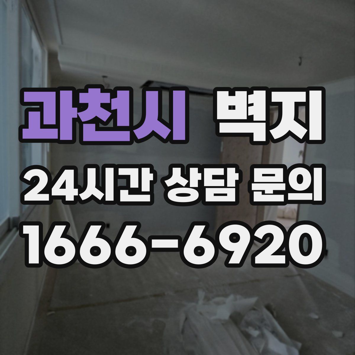 과천시 벽지