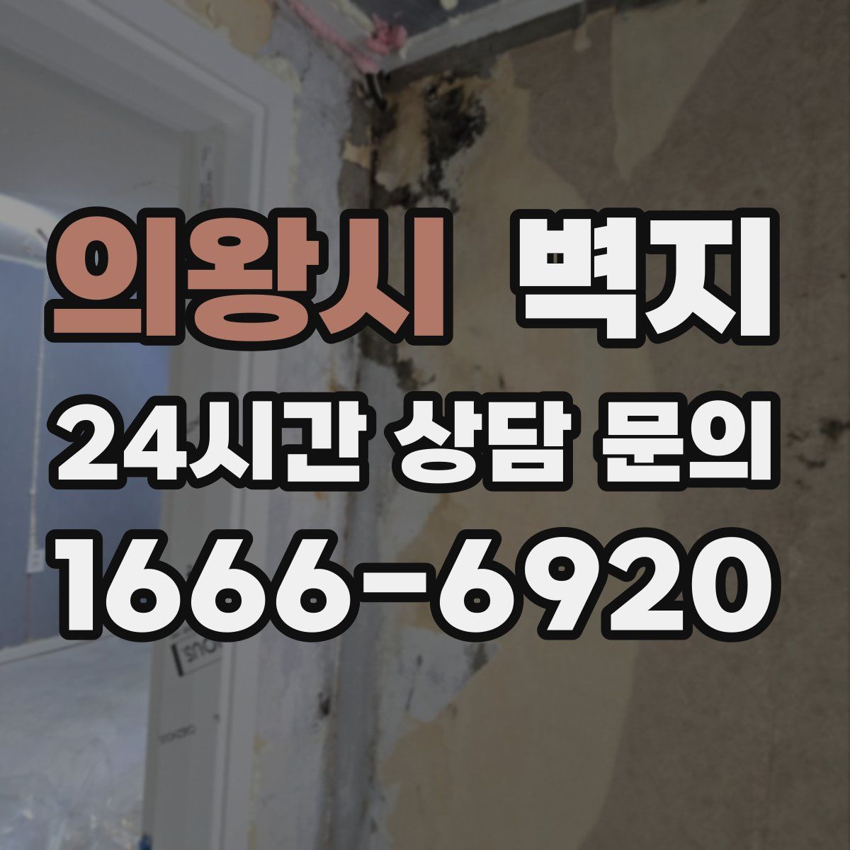 의왕시 벽지