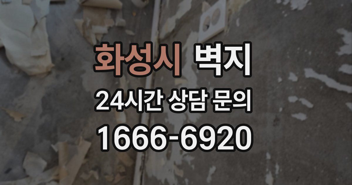 화성시 벽지