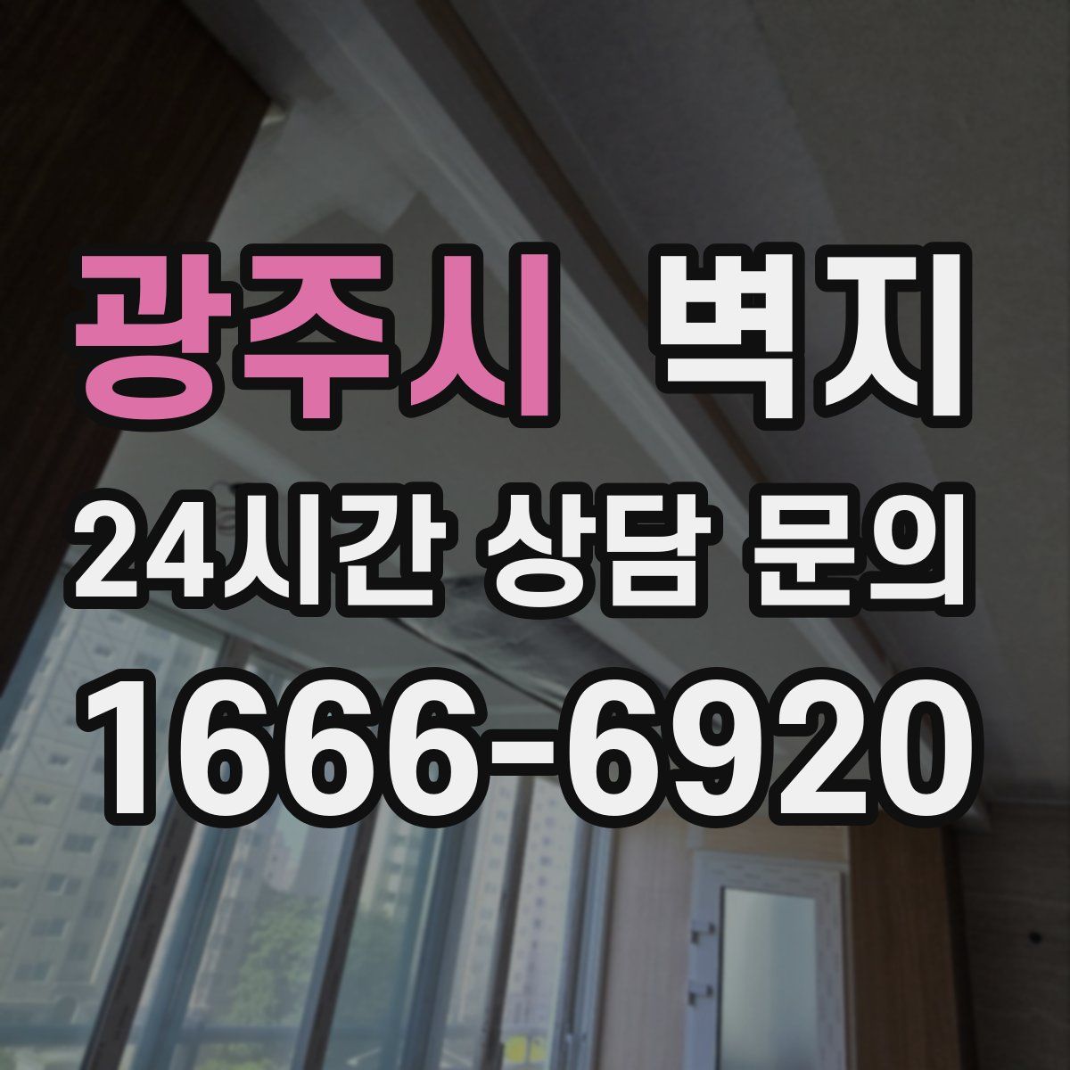 광주시 벽지
