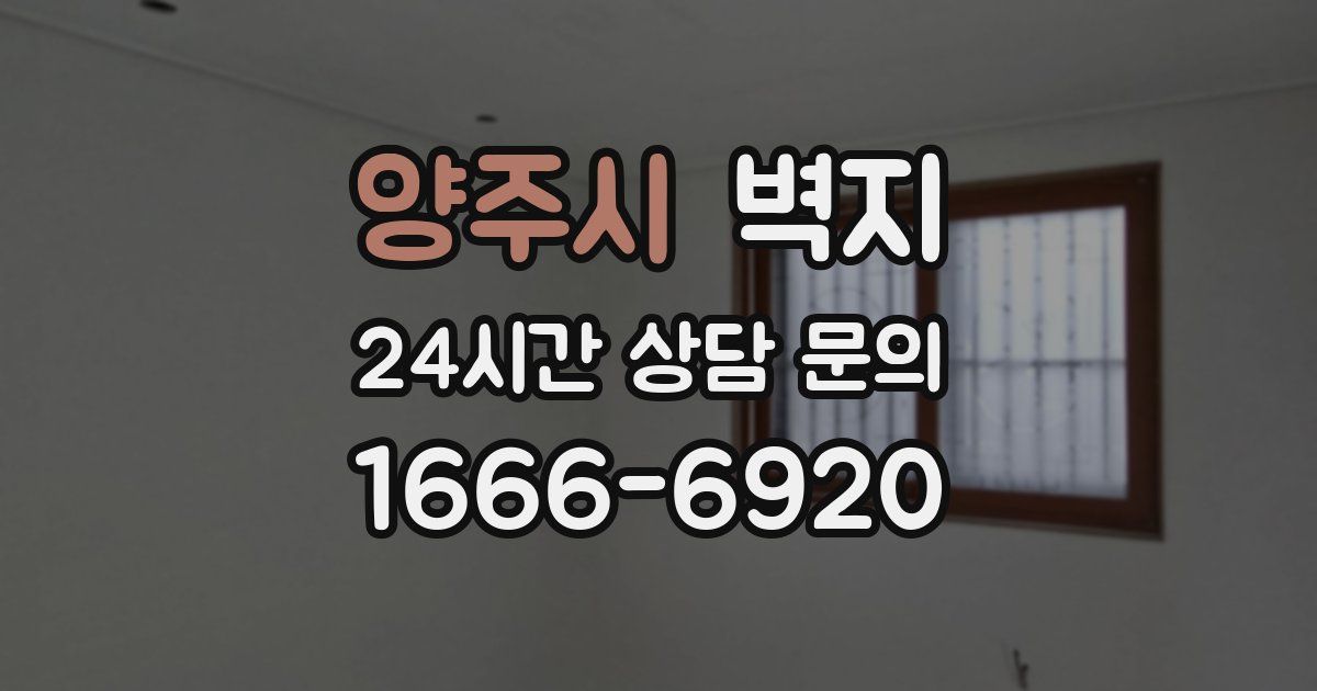 양주시 벽지