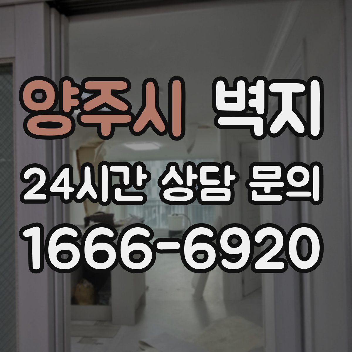 양주시 벽지