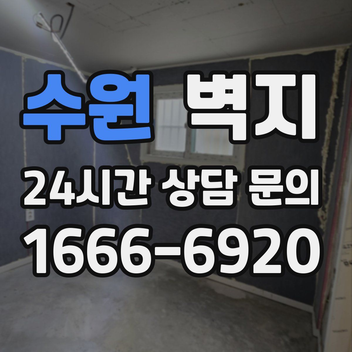 수원 벽지