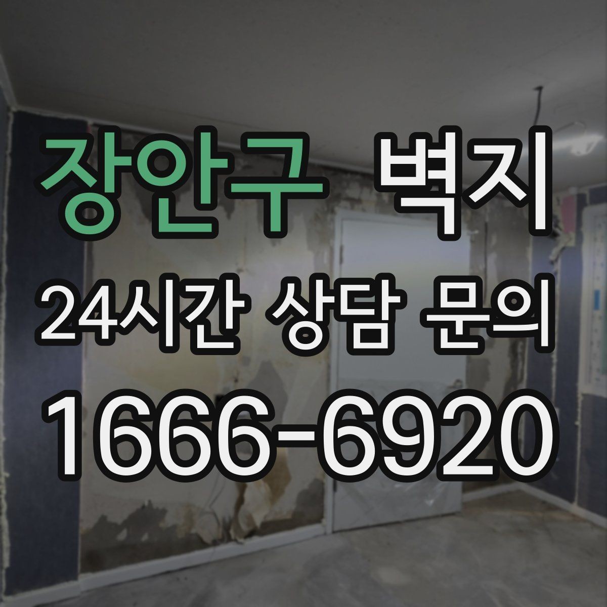 장안구 벽지 교체 후 관리 팁까지 함께 정리