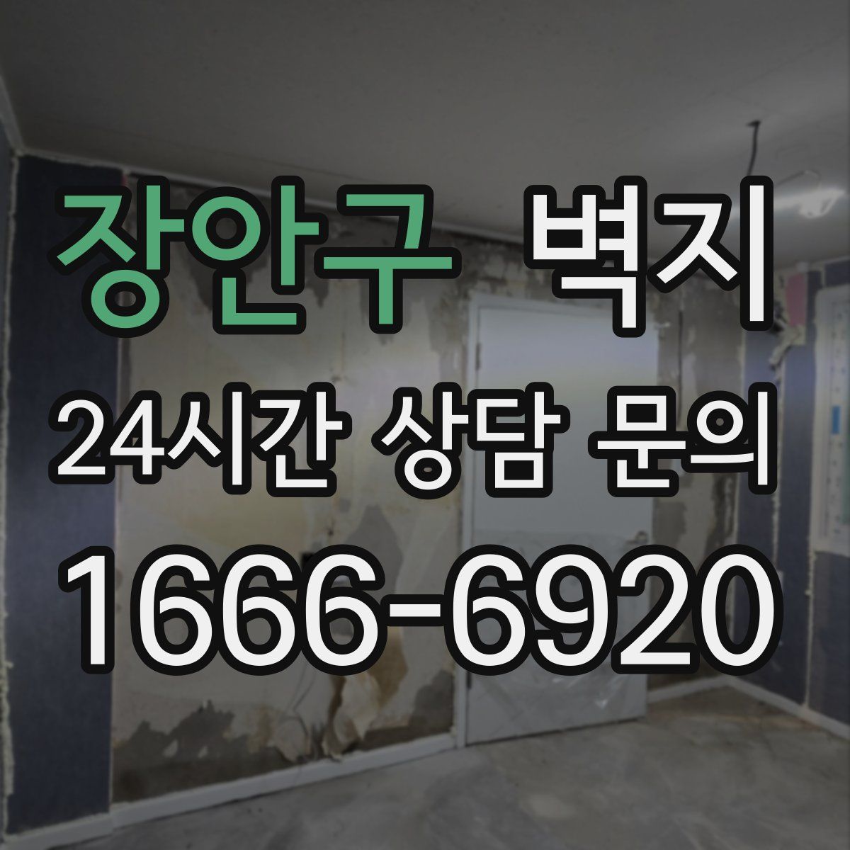 장안구 벽지
