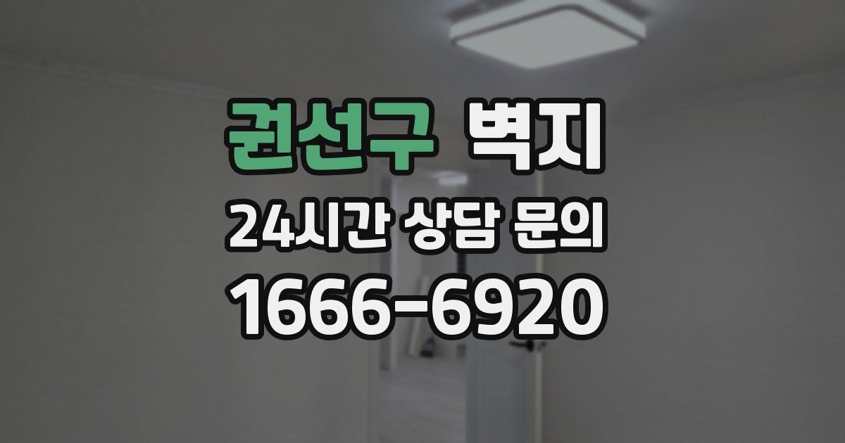 권선구 벽지