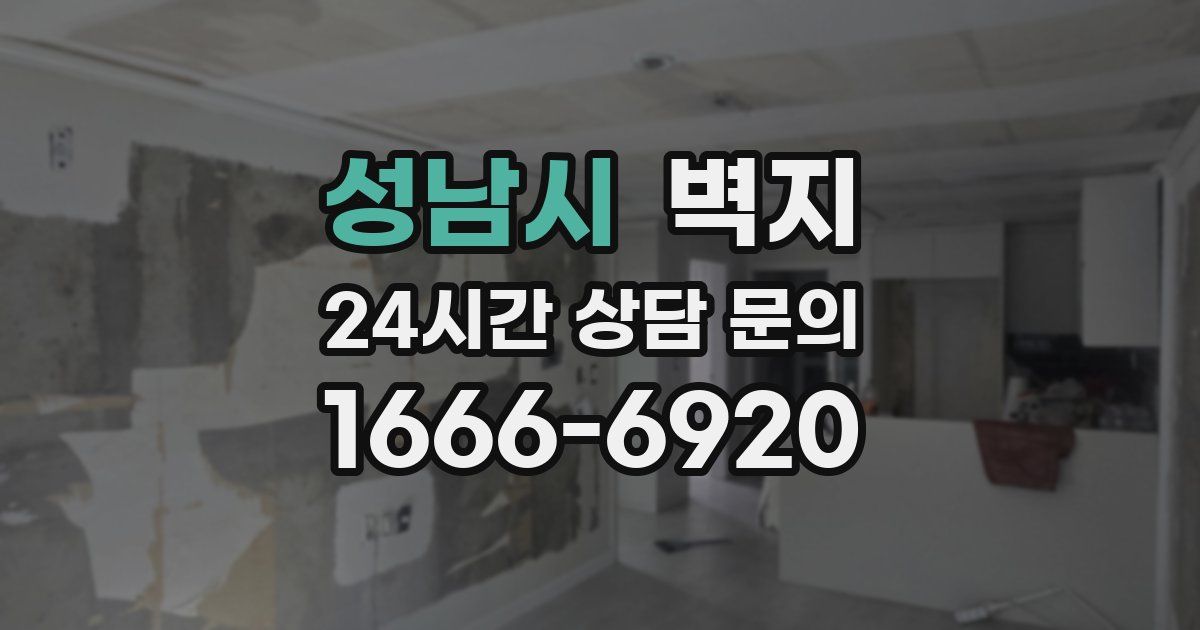 성남시 벽지