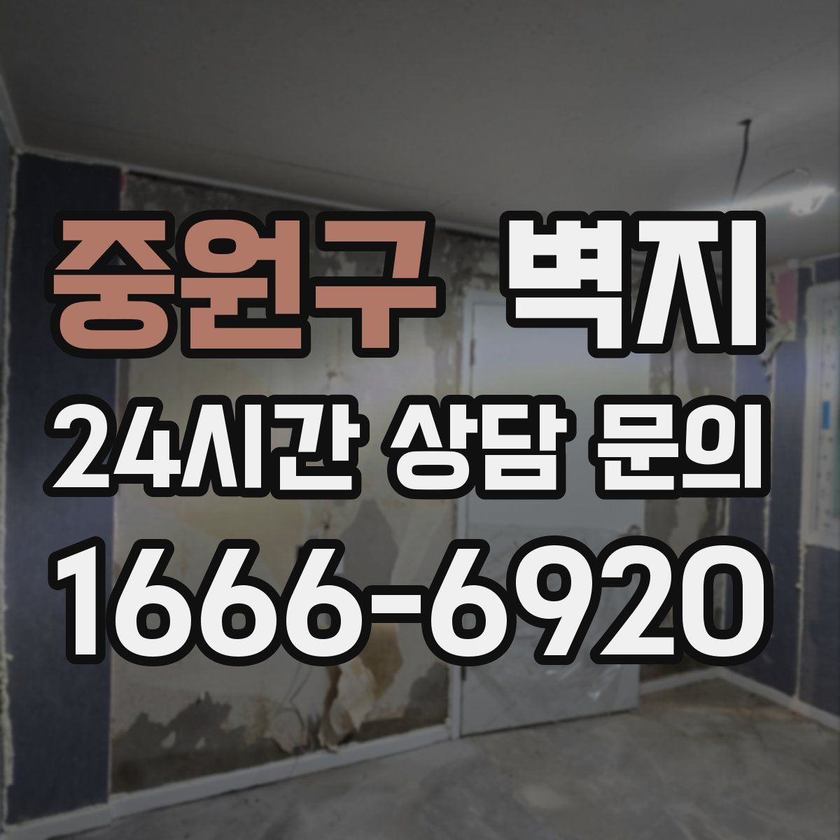 중원구 벽지