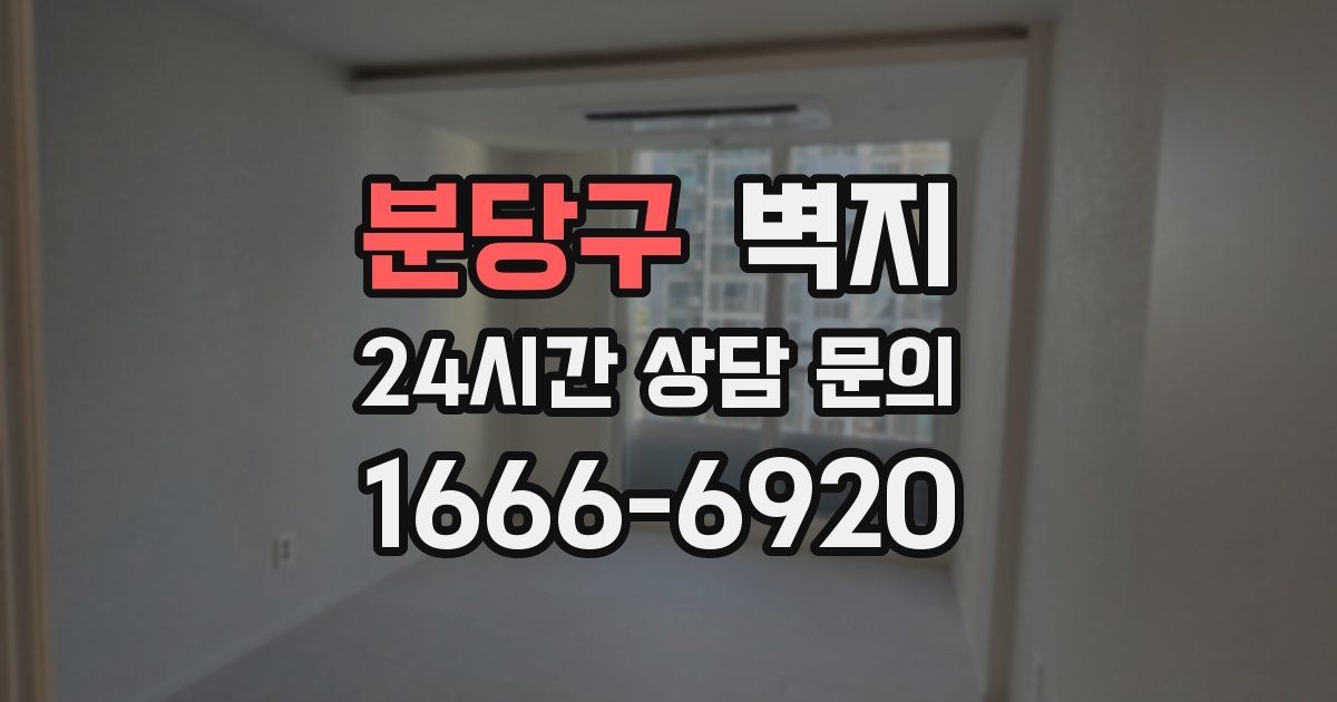 분당구 벽지