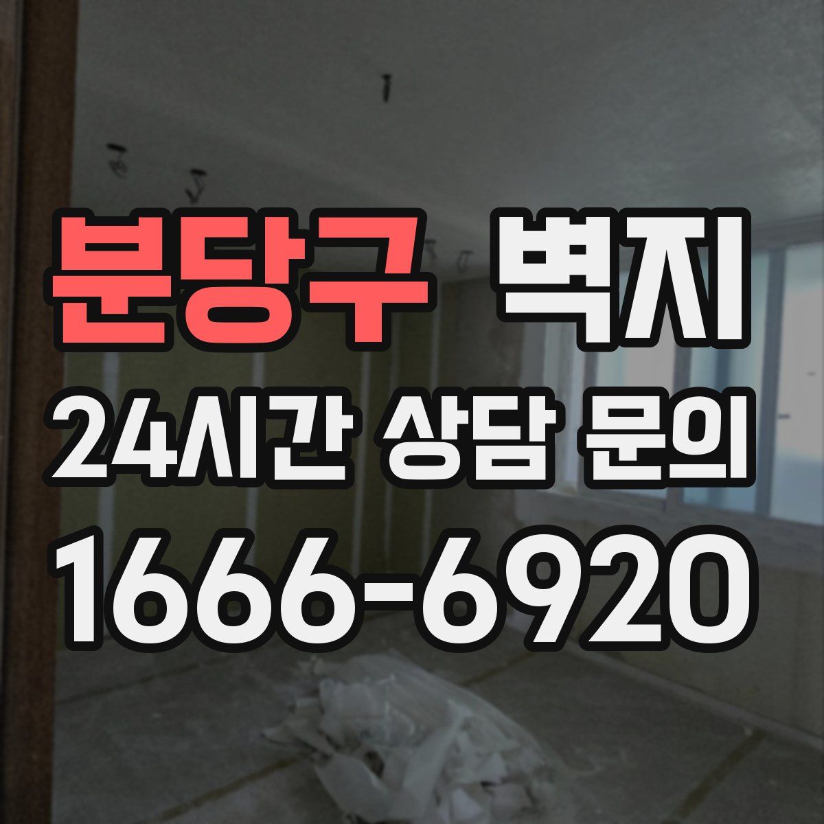 분당구 벽지