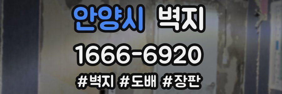 안양시 벽지