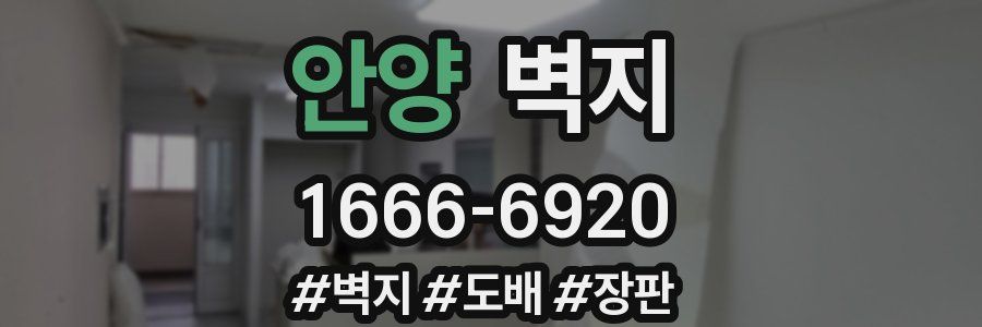 안양 벽지