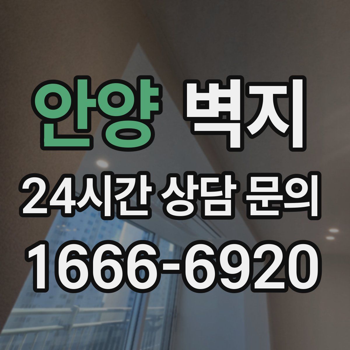 안양 벽지