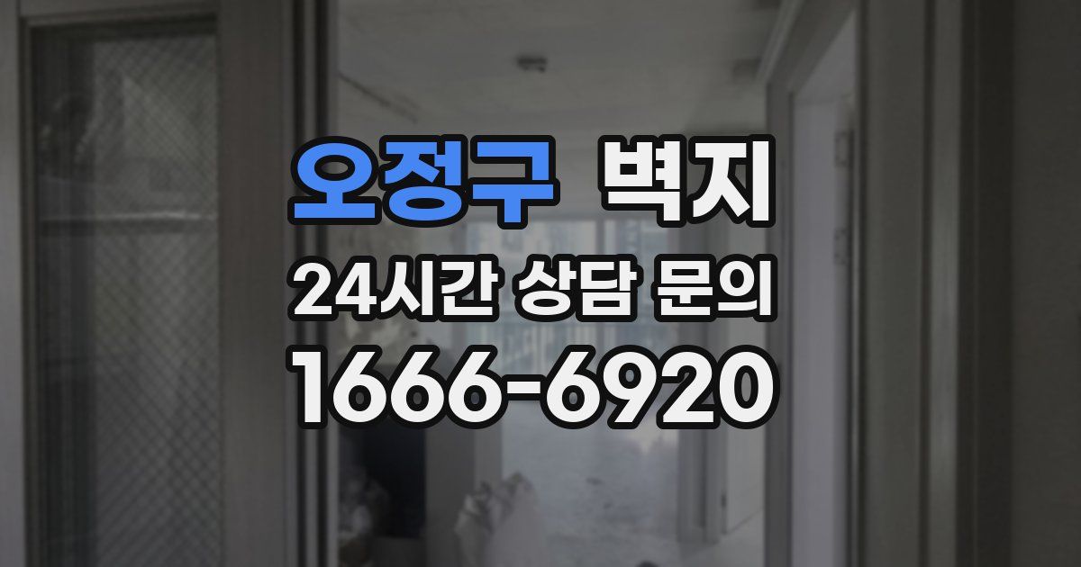 오정구 벽지
