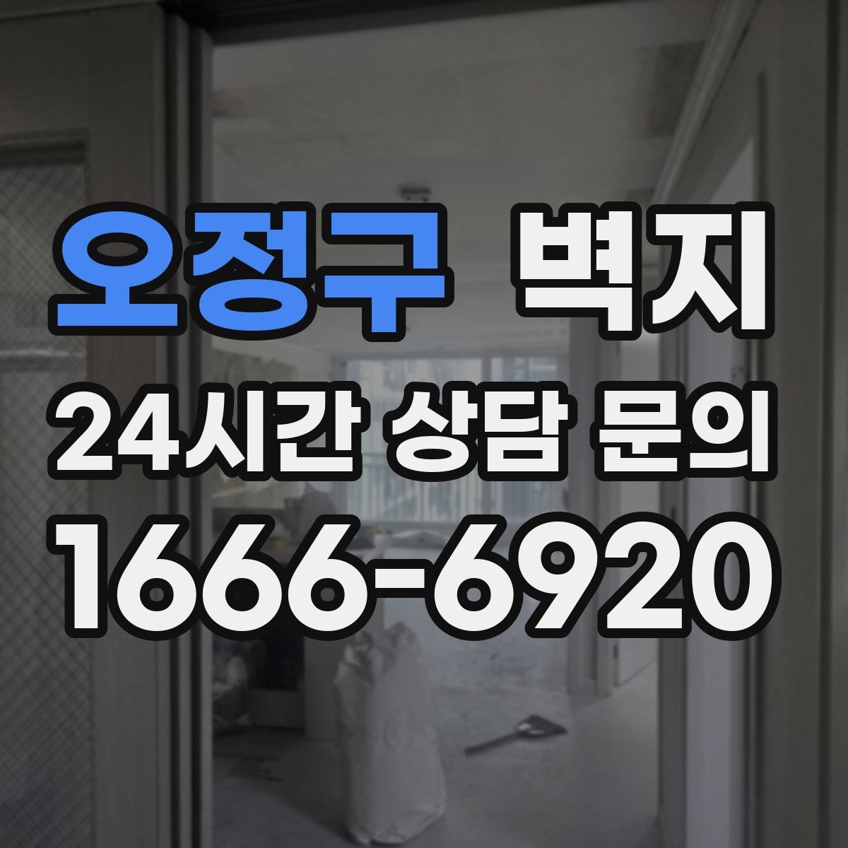 오정구 벽지