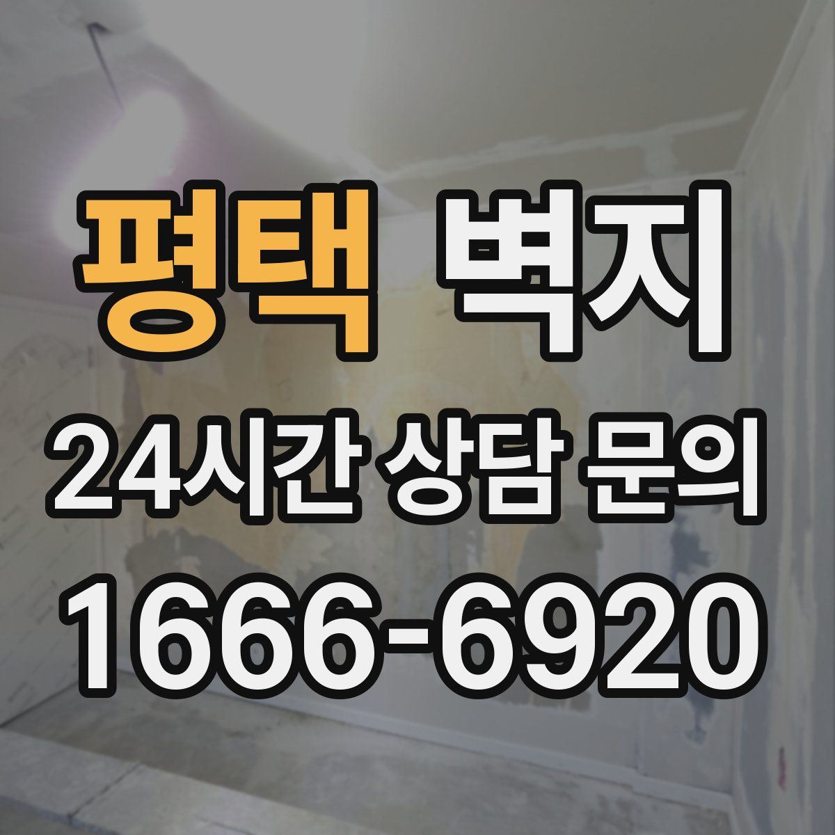 평택 벽지