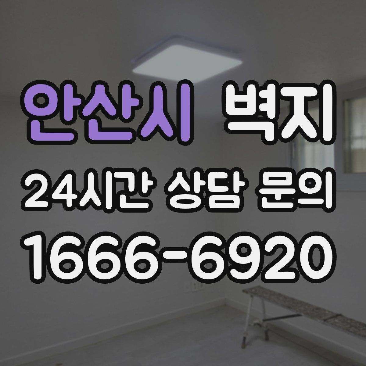 안산시 벽지
