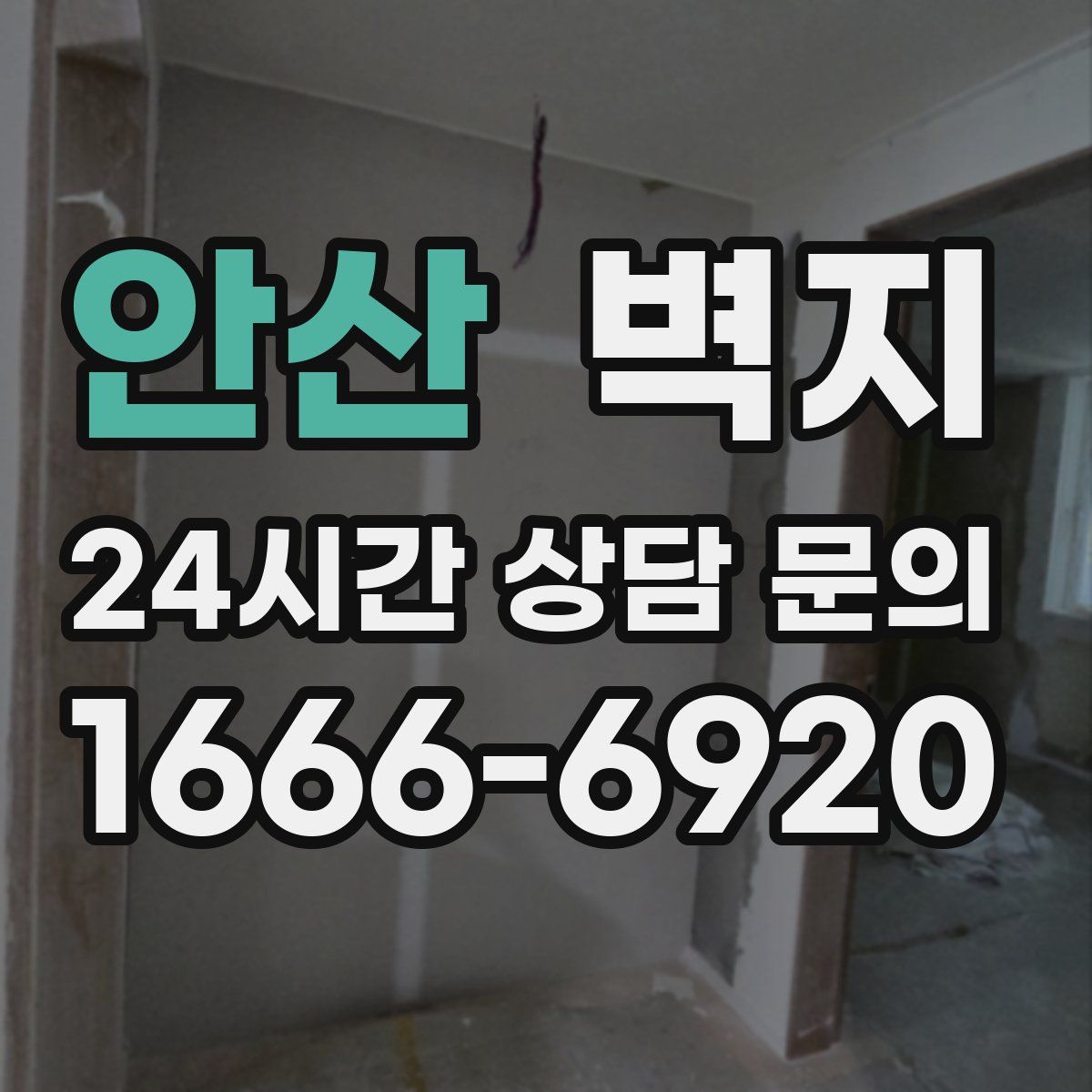 안산 벽지