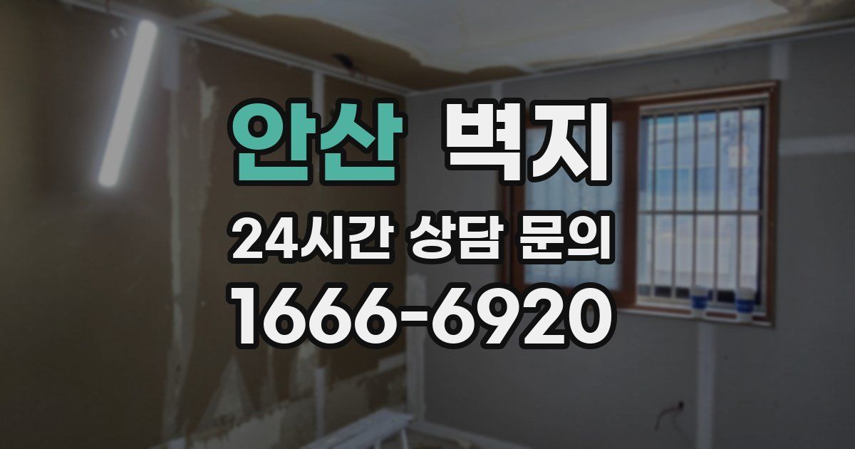 안산 벽지
